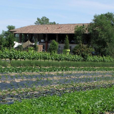 Agriturismo Cascina Caremma Besate Exterior foto
