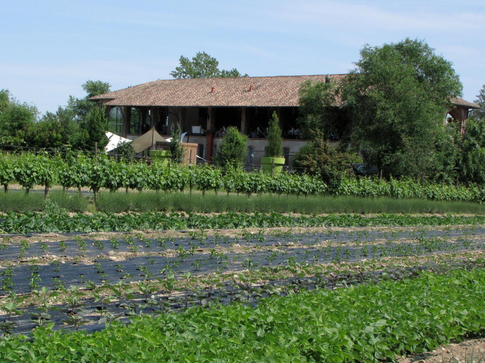 Agriturismo Cascina Caremma Besate Exterior foto
