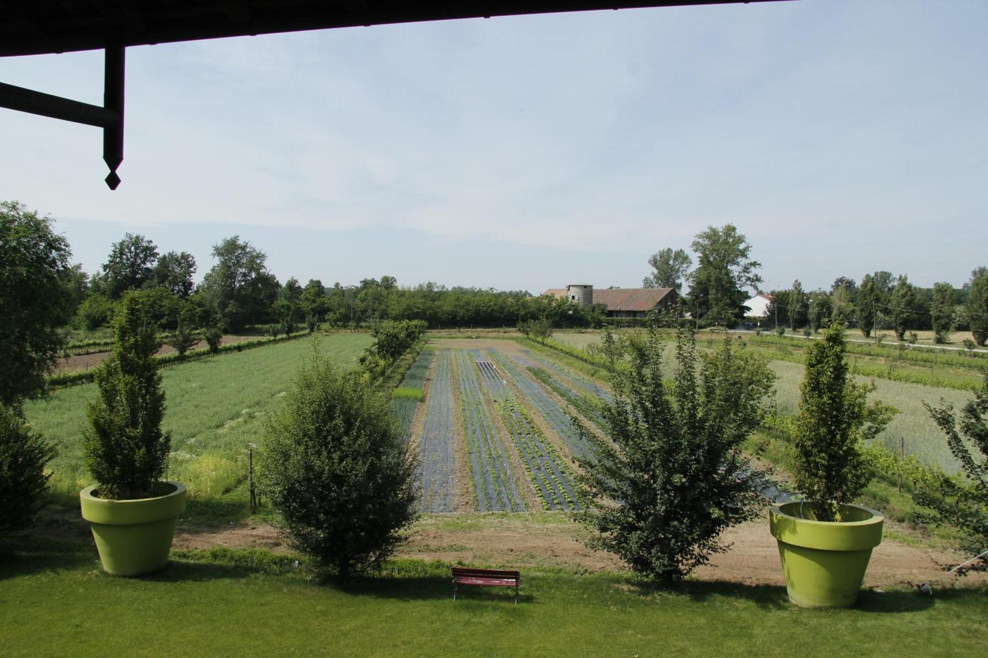 Agriturismo Cascina Caremma Besate Exterior foto