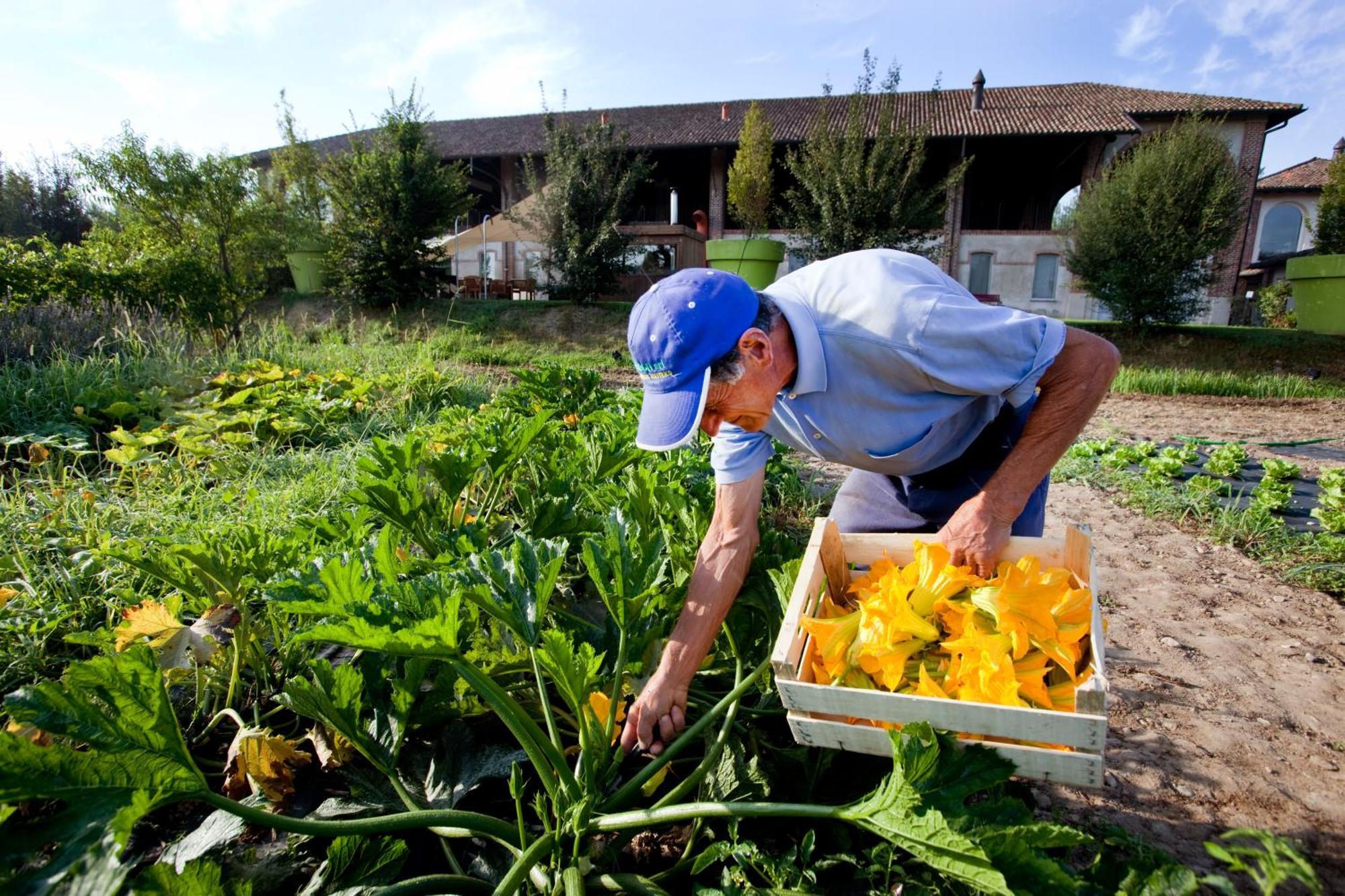 Agriturismo Cascina Caremma Besate Exterior foto