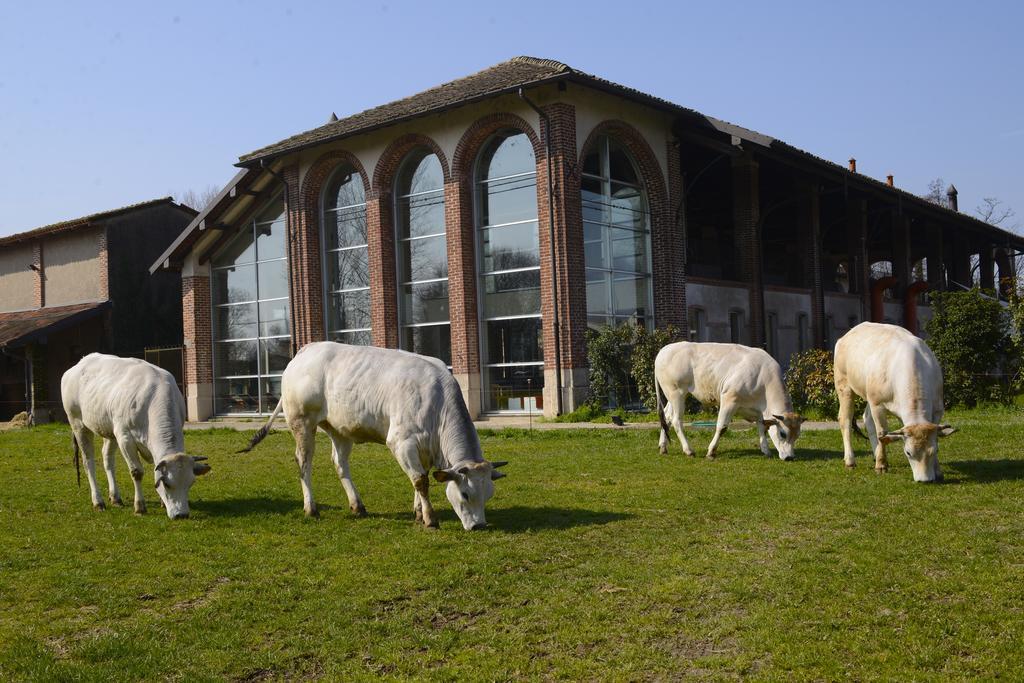 Agriturismo Cascina Caremma Besate Exterior foto